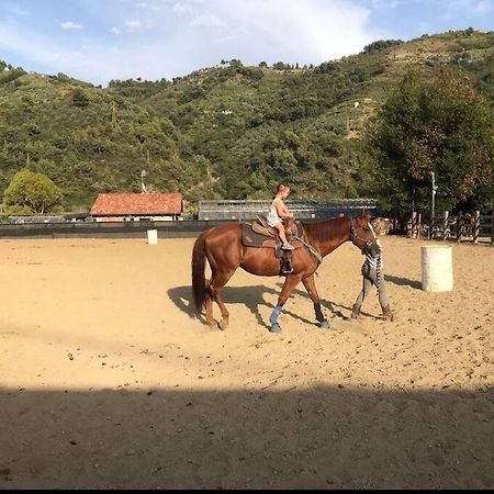 La Stalla, Casa Rustica Nel Ranch Di Cavalli Camporosso  Exteriör bild