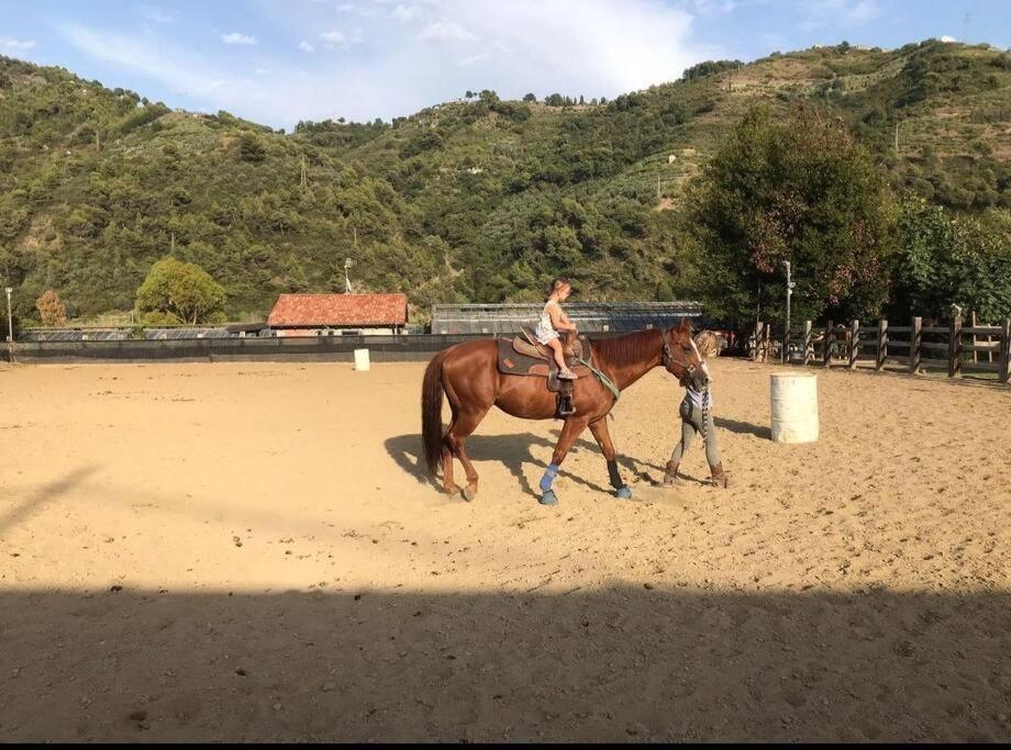 La Stalla, Casa Rustica Nel Ranch Di Cavalli Camporosso  Exteriör bild