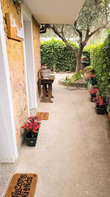 La Stalla, Casa Rustica Nel Ranch Di Cavalli Camporosso  Exteriör bild
